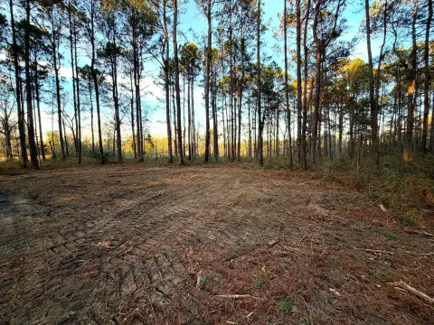 Poplarville Land in Springhill Community