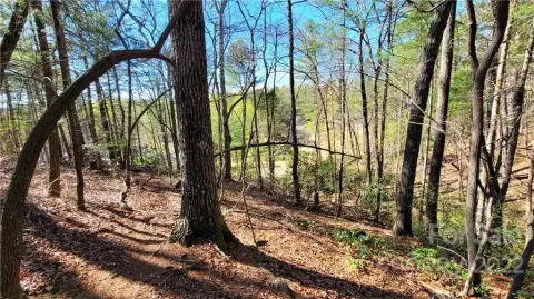 Residential Land Near Lake James