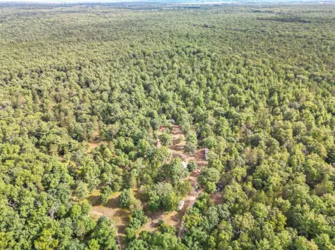Wooded Hunting Land with Camp