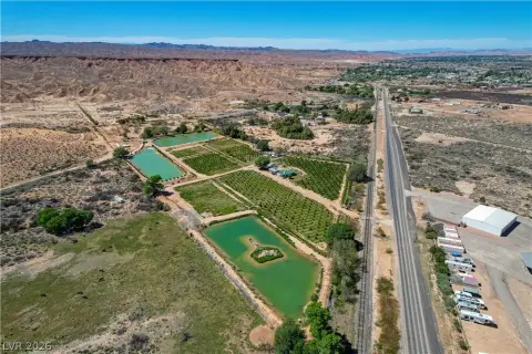 Agricultural Farmland with Orchard