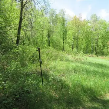 Sherman Twp Land for Sale