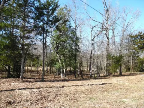 Waterfront Lots in Gated Community