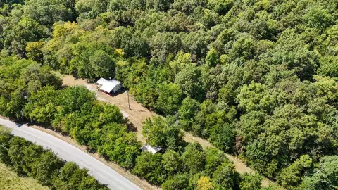 Wooded Land with Hunting Shack