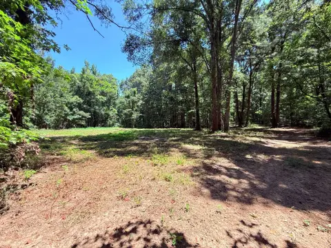 Improved Hunting Land