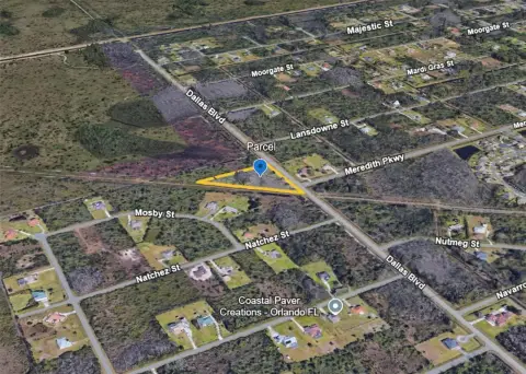 Expansive Wooded Lot in Orlando