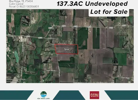 Undeveloped Commercial Land