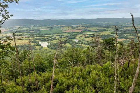 Pikeville Land with Fiber Optics