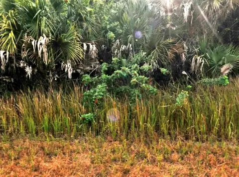 Residential Lot in Growing Area