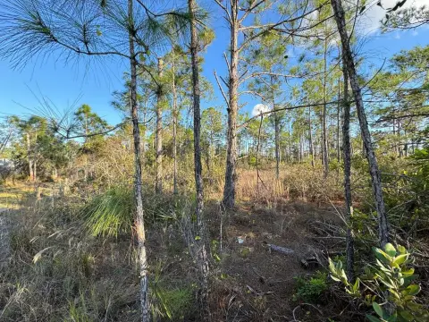 PUNTA GORDA Land For Sale