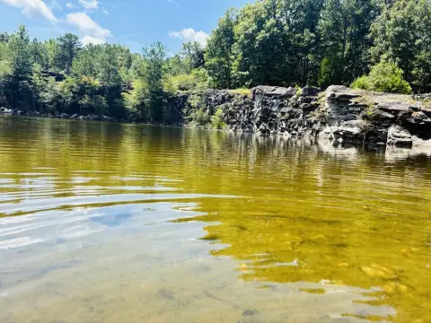 Wooded Land With Rock Quarry