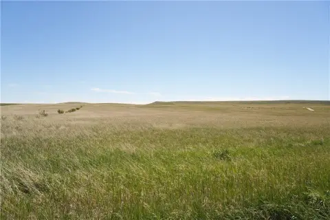 Agricultural Land with Road Access