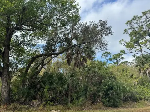 Residential Lot in Punta Gorda