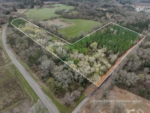 Richton, MS: 12 Acre Land