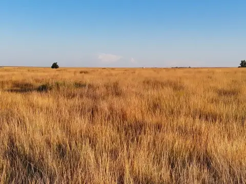 CRP Agricultural Land