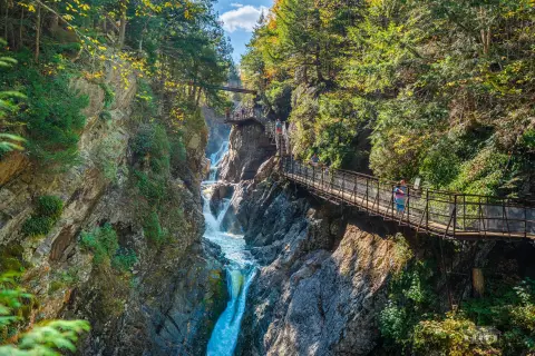 Ausable River Recreation Property