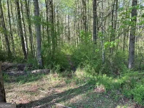 Northeast Georgia Land Opportunity