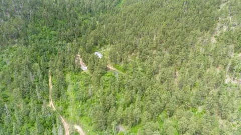 Black Hills Wooded Lot