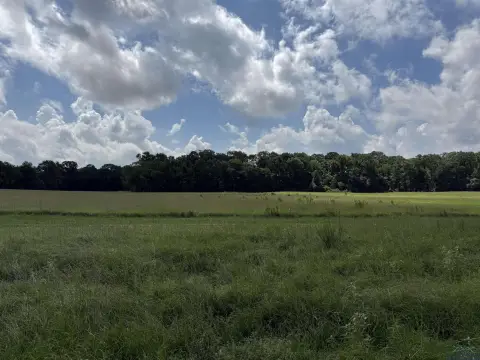 Henderson, TX Acreage Opportunity