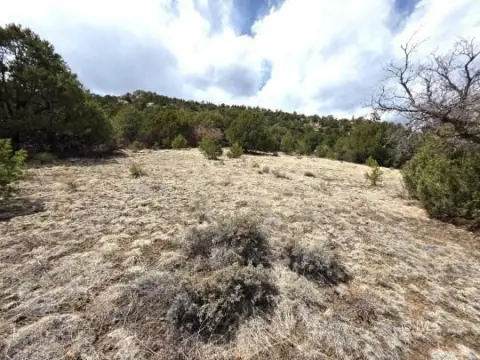 Picturesque Land in Westcliffe, Colorado