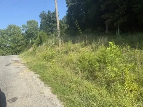 Wooded Land with Road Frontage