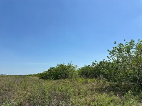 Agricultural Land in Labelle, Florida