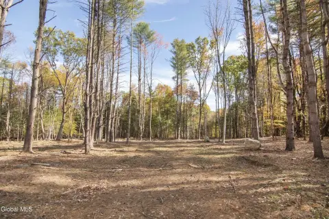 Greenfield Center Land Parcel