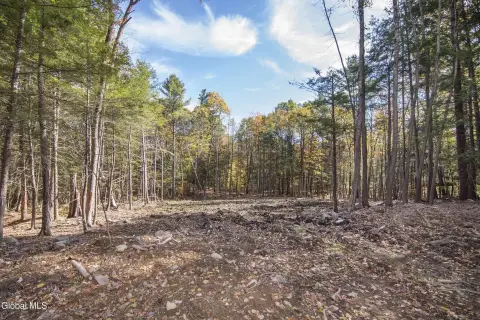 Greenfield Center Land for Custom Home