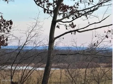 Wooded Land Near Saratoga Lake