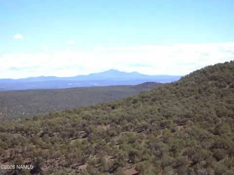 Ranch Land with Varied Terrain