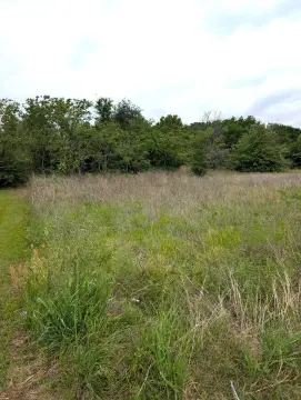 Residential Lot Near Lake