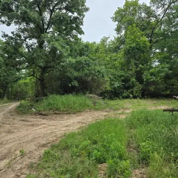 Secluded Wooded Acreage Near Cedar Creek