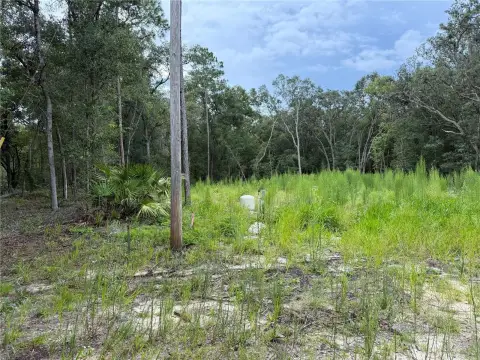 Ready-to-Build Land in Interlachen, FL