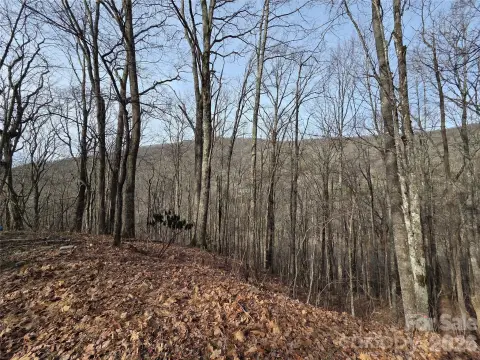 Unrestricted Land Near Ski Area