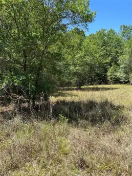 Inverness Land Near Withlacoochee River