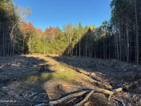 Wooded Land Parcel in Sand Lake