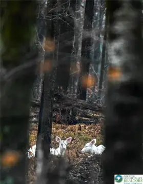 Land in Emerald Lakes Subdivision