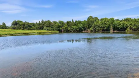 Cattle Ranch With Lake
