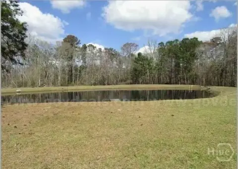 Residential Land in Springfield, Georgia