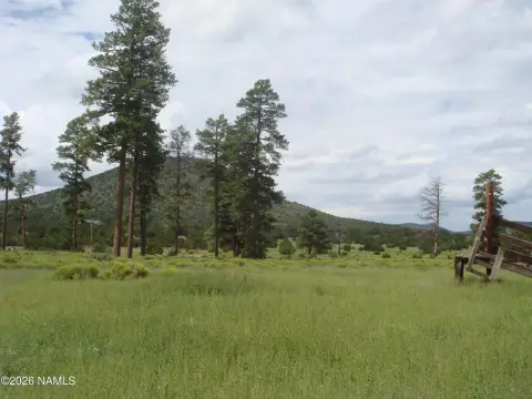Land in Williams, Arizona