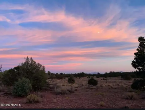 36 Acres in South Rim Ranch