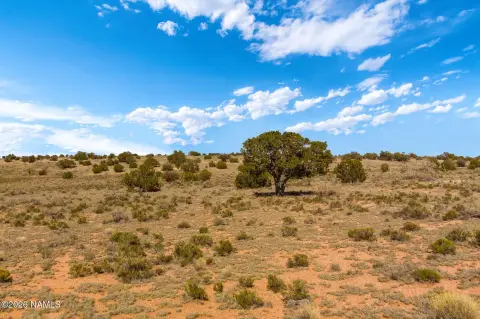 Expansive Land Near Grand Canyon