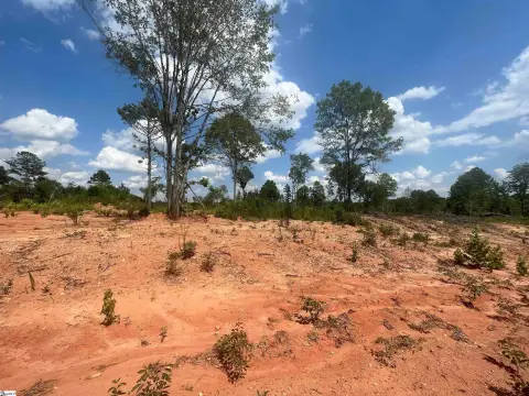 72 Acres Development Opportunity, Woodruff