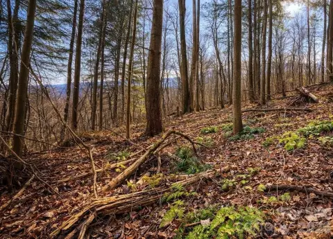 Mountain Homesite with Long-Range Views