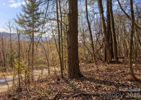 Mountain Homesite with Long-Range Views