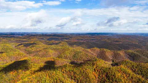 55 Acres of Wooded Land