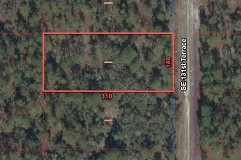 Acre Homesite in Dunnellon, Florida
