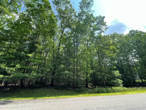 Wooded Lot in Glade Springs
