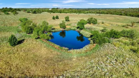 Fenced Hunting Land