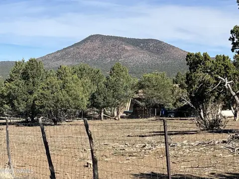 Land in Williams, Arizona