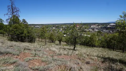 Heavily Treed Lot in Flagstaff